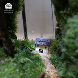 Terrarium Dear Deer - Bể Đa Giác Vác - Decor Kệ Tủ