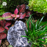 Terrarium The Emerald Relic - Bể Trứng Đa Giác - Quà Tặng Cao Cấp