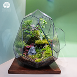 Terrarium The Emerald Relic - Bể Trứng Đa Giác - Quà Tặng Cao Cấp