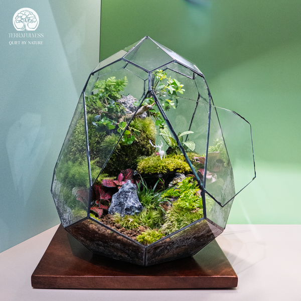 decor-ban-lam-viec-sang-tao-voi-he-sinh-thai-terrarium-nghe-thuat