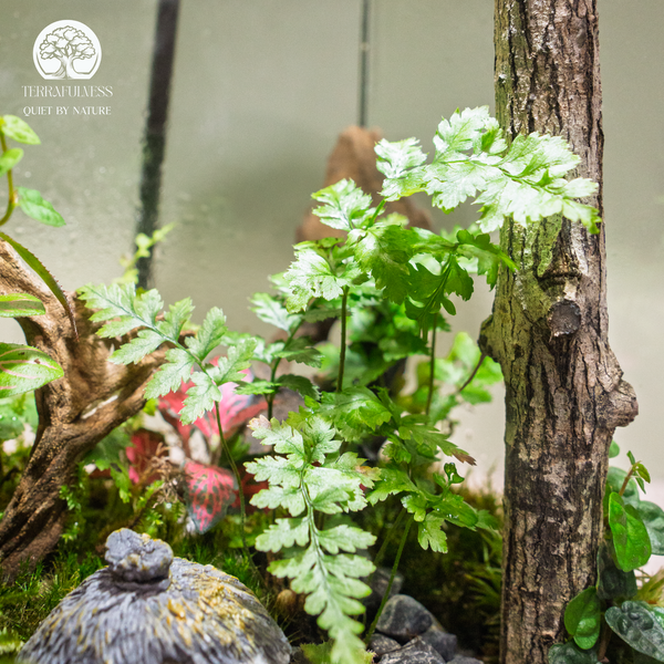 Terrarium