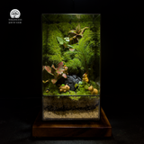 Terrarium Lazy Meadow - Bể Đa Giác Terrarium Capybara