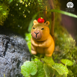 Terrarium Lazy Meadow - Bể Đa Giác Terrarium Capybara