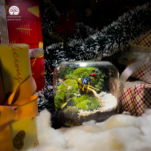 Hành Trình Cảm Hứng Với Tiểu Terrarium