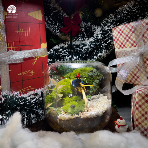 Terrarium Little Witch - Bể Hở Tròn - Decor Phòng Ngủ Kỳ Ảo Dễ Thương