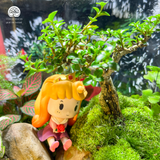 Terrarium Little Princess - Bể Hở Tròn - Decor Bàn Làm Việc Dễ Thương