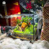 Terrarium Little Princess - Bể Hở Tròn - Decor Bàn Làm Việc Dễ Thương