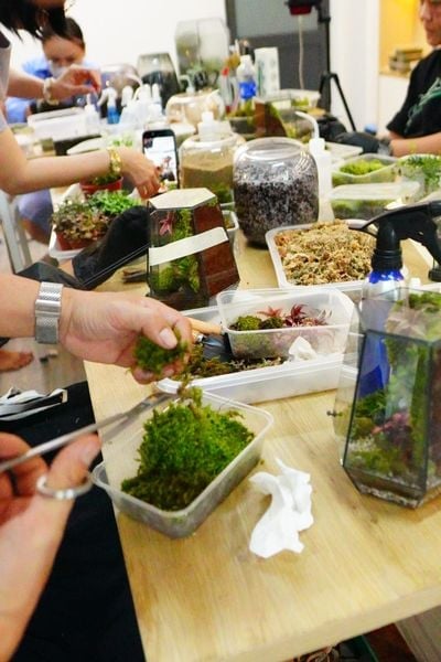 Món quà DIY cho chính mình – Khi Khách Hàng Nói Về Terrarium Đầu Tiên Họ Tự Tay Tạo Ra