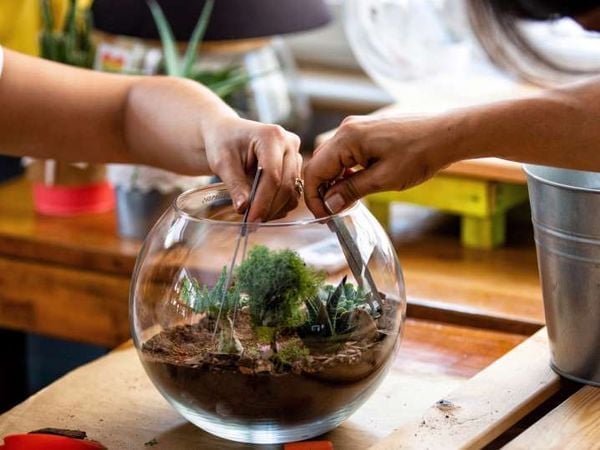 Bước 2 - Tạo lớp nền cơ bản cho terrarium