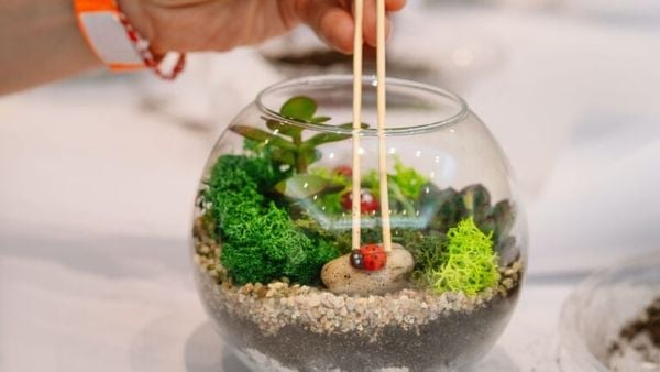 Bước 4 - Trang trí tiểu cảnh terrarium theo phong cách riêng