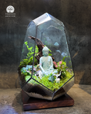 Terrarium Tĩnh Tâm Sơn Cảnh - Tượng Phật An Yên