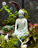 Terrarium Tĩnh Tâm Sơn Cảnh - Tượng Phật An Yên