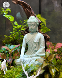 Terrarium Tĩnh Tâm Sơn Cảnh - Tượng Phật An Yên