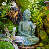 Zen Terrarium Tịch Lâm | Bể Đa Giác - Trang Trí Cho Không Gian Thiền