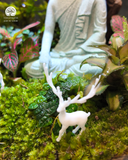 Terrarium Tĩnh Tâm Sơn Cảnh - Tượng Phật An Yên