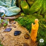 Zen Terrarium Tịch Lâm | Bể Đa Giác - Trang Trí Cho Không Gian Thiền