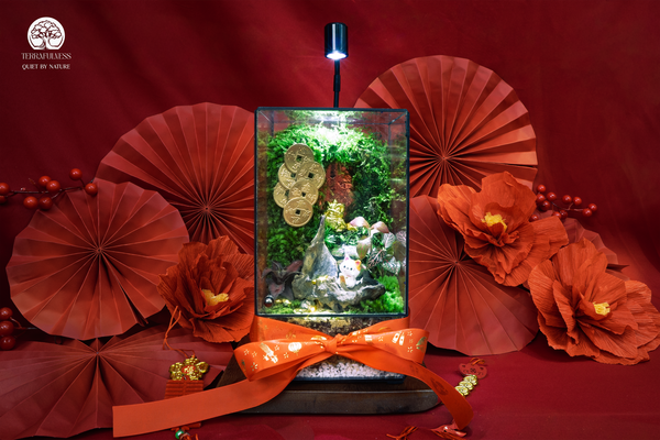 Sức sống bền bỉ, dễ dàng chăm sóc – Quà Tết Không Ồn Ào – Terrarium Và Sự Tĩnh Lặng Đáng Giá