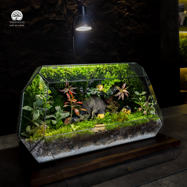 terrarium-phong-thuy-ban-lam-viec-thu-hut-tai-loc-cho-lanh-dao