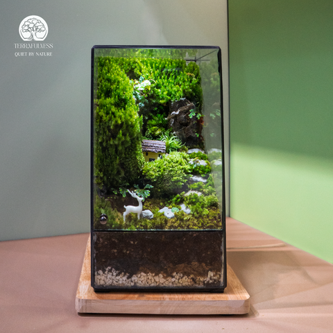 Terrarium Serene Valley - Bể Chữ Nhật Đứng - Decor Góc Làm Việc Sang Trọng