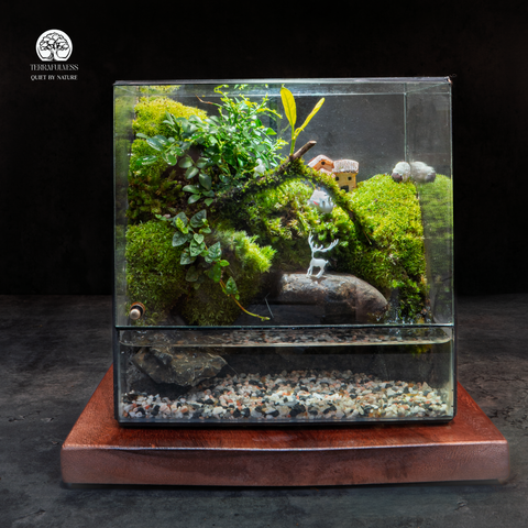 Terrarium Hươu Nước An Cư - Cảnh Quan Thiên Nhiên Thu Nhỏ