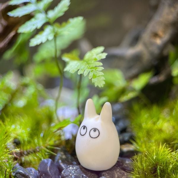 Món Quà "Đa Năng" Cho Mọi Mối Quan Hệ – Tại Sao Terrarium Lại Là Món Quà Được Yêu Thích Trong…