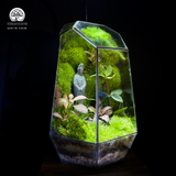 Terrarium Thiền Viên Mộc An - Bể Đa Giác - Tượng Quan Âm Giữa Rừng Rêu Xanh