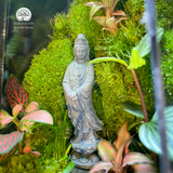 Terrarium Thiền Viên Mộc An - Bể Đa Giác - Tượng Quan Âm Giữa Rừng Rêu Xanh
