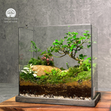 Terrafulness