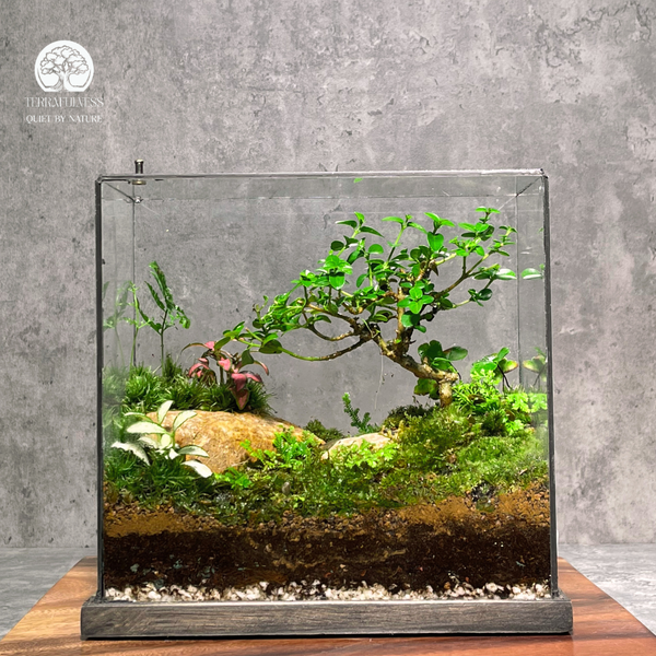 Top 3 Chủ Đề Terrarium Được Đặt Hàng Nhiều Nhất Tại Terrafulness