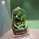 Terrarium Adventure - Bể Đa Giác - Decor Phòng Khách