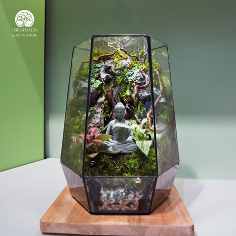 Terrarium Mộc Tĩnh An – Bể Đa Giác - Quà Tặng Độc Đáo Và An Yên