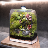 Terrarium