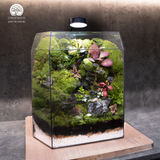 Terrarium