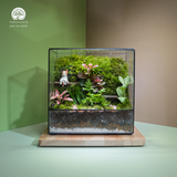 Terrarium Mossy Meow – Bình Hộp Chữ Nhật – Decor Bàn Làm Việc