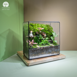 Terrarium Mossy Meow – Bình Hộp Chữ Nhật – Decor Bàn Làm Việc