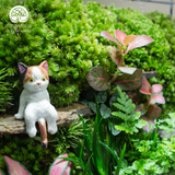 Terrarium Mossy Meow – Bình Hộp Chữ Nhật – Decor Bàn Làm Việc