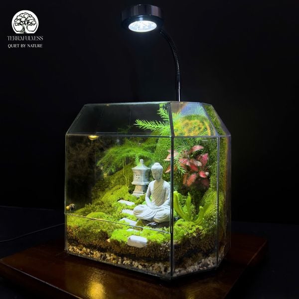 Món quà không phai theo thời gian – Terrarium Handmade Món Quà Lễ Hội Độc Đáo, Gửi Gắm Tình Yêu…