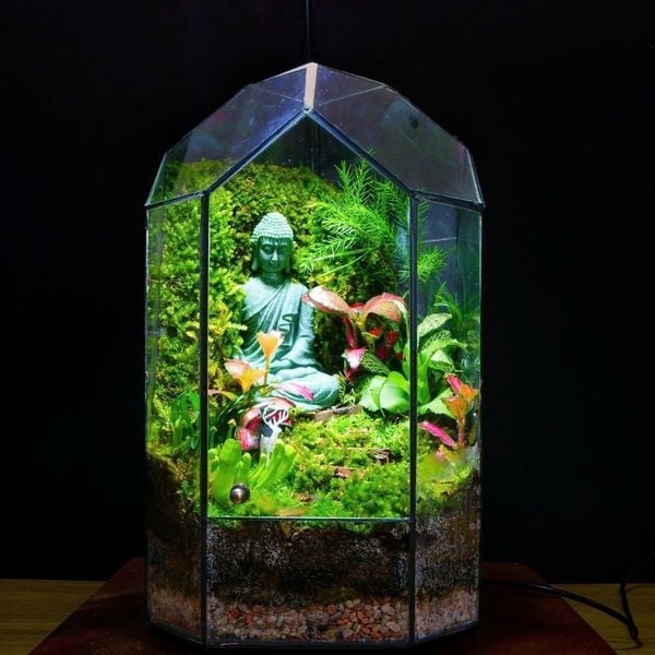 Zen Terrarium - Dịu Dàng Và Chữa Lành