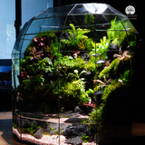 Terrarium