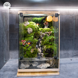 Terrarium