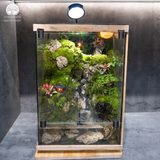 Terrarium