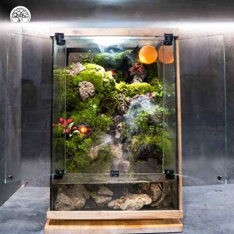 Terrarium Nguyệt Vũ Lâm - Rừng Mưa - Trang Trí Không Gian