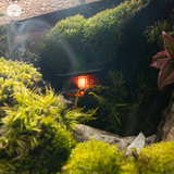 Terrarium