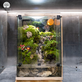 Terrarium
