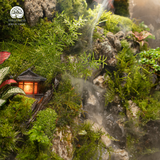Terrarium