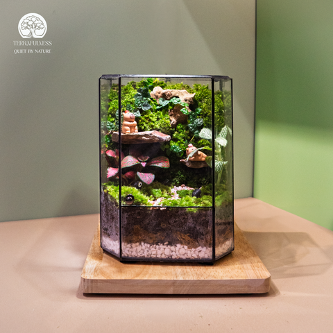 Terrarium Tranquil Moss Realm - Bể Hộp Đứng - Quà Tặng Trang Trí
