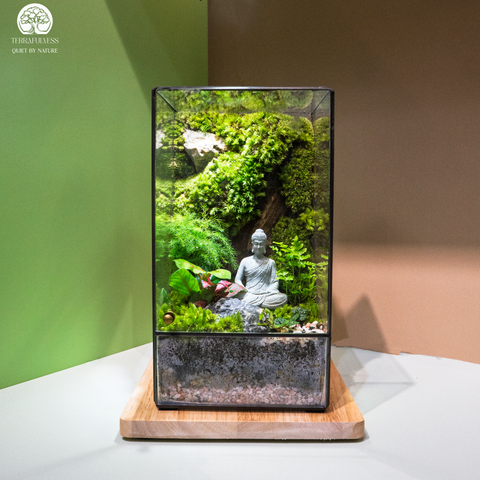 Terrarium Emerald Refuge - Bình Chữ Nhật Đứng Cao Cấp - Quà Tặng Decor