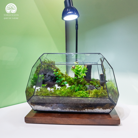 Terrarium Ivory Gallop - Bể Đa Giác Ngang - Quà Tặng Đẳng Cấp