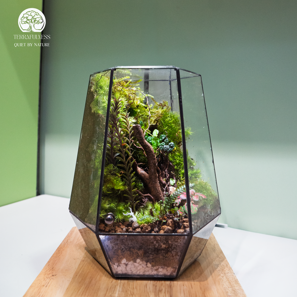 Terrarium