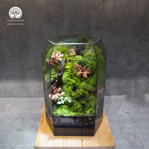 Terrarium